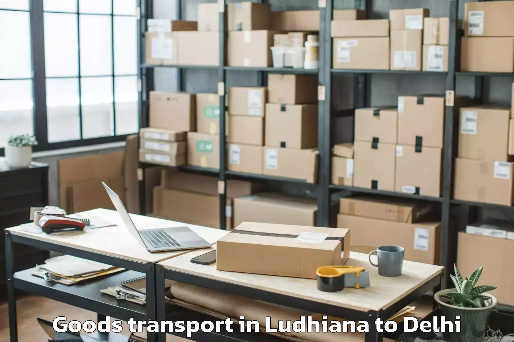 Professional Ludhiana to Chanakya Puri Goods Transport